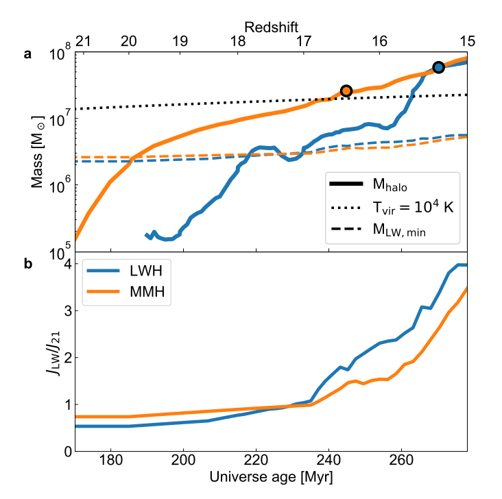 Mass growth and Lyman-Werner radiation histories of the two candidate halos