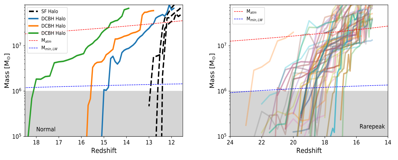 Mass-growth histories of direct-collapse black-hole candidate halos