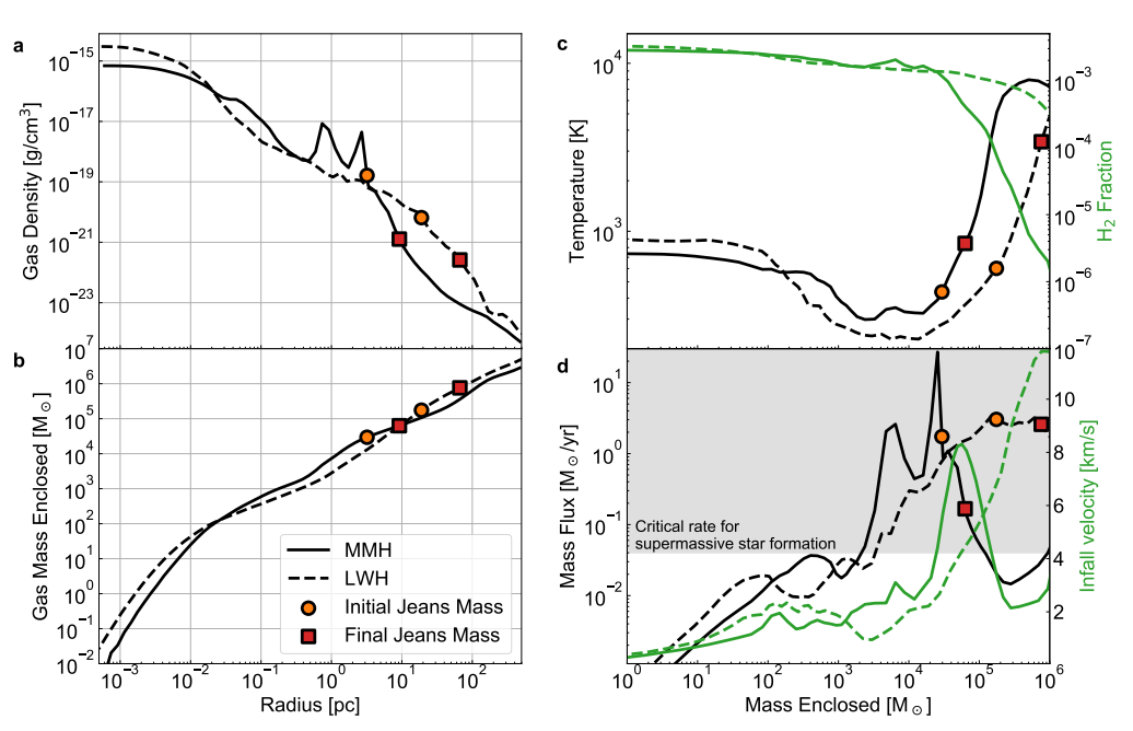Gas properties and infall rates during the collapse of the candidate halos