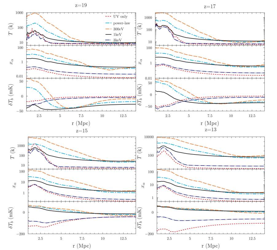 Radial profiles of temperature, Lyman-alpha coupling, and 21 cm brightness temperature around Rarepeak