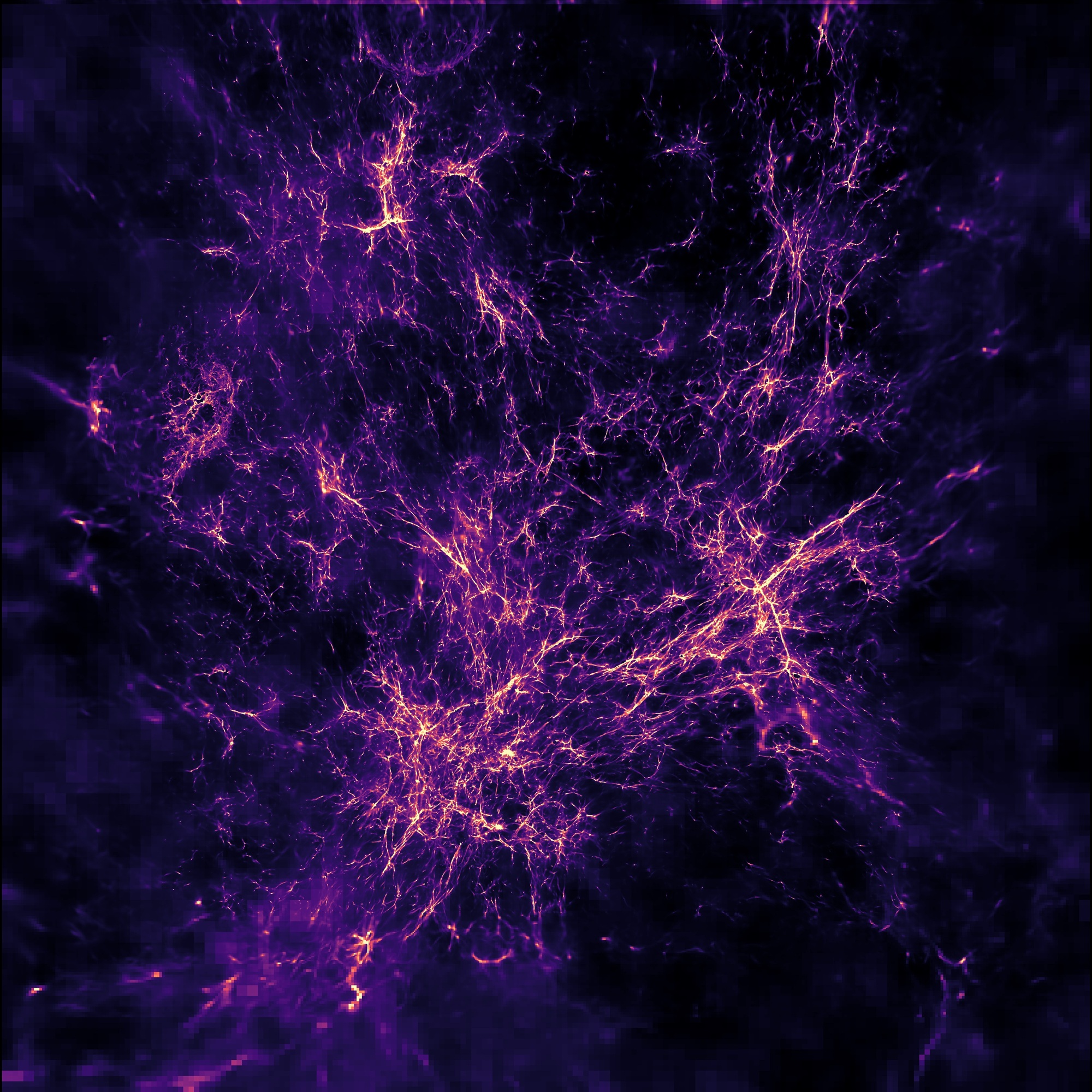 Cosmic web from the Renaissance Simulations showing filaments, dense regions, and voids